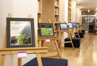Photo Club_S1_Honoka.N/図書室Forestに写真部が東京私立中高写真展（東京都美術館）に出展した作品が展示されています。