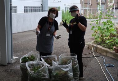 生徒が教室に戻り沢山の雑草