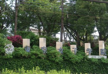 八重桜の下で