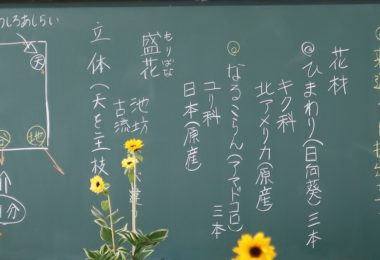 花材の説明