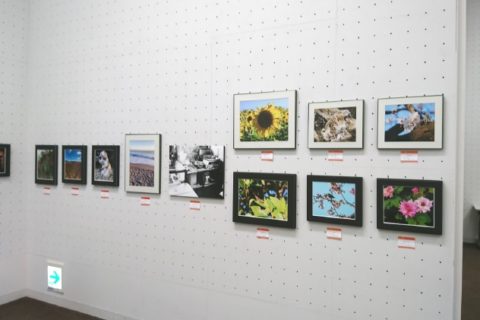 写真部は、第48回 東京私立中学高等学校 生徒写真・美術展の写真の部に出展し入選しました。
