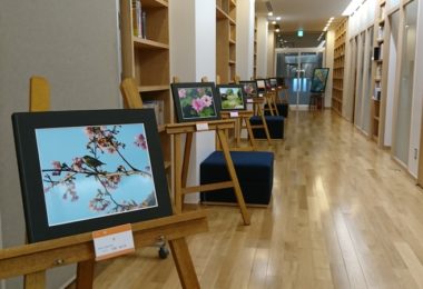 図書室の入口から展示されています。