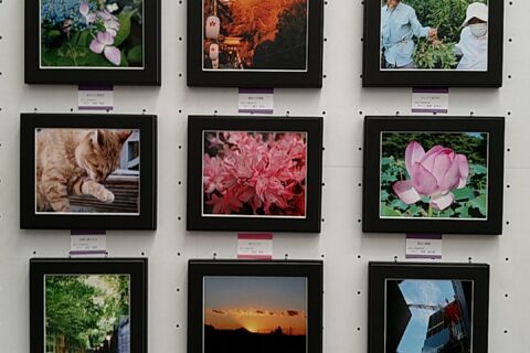 写真部は、第50回 東京私立中学高等学校 生徒写真展に出展し特選に選ばれました。