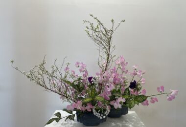 春の花、スイートピーを”家元”が生けてくださいました。とても素敵な生け花です。どうしてもHPで紹介したかったのです。（本文とは関係ありません）