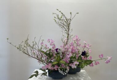 春の花、スイートピーを”家元”が生けてくださいました。とても素敵な生け花です。どうしてもHPで紹介したかったのです。（本文とは関係ありません）