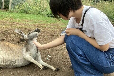 カナダ留学レポート