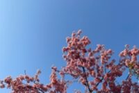 今年もこの日が来ました。3月11日
