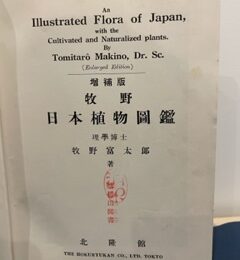 写真②日本植物図鑑