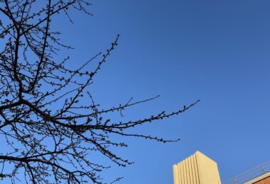 ２月３日、朝、突き抜けるような青空に「河津桜」「ハクモクレン」のつぼみが、「早く咲きたいよ～」と言っているようでした。（本文とは全く関係ありません）